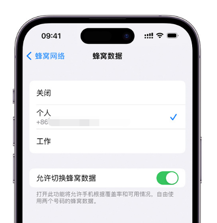 渝水苹果维修服务分享如何在iPhone上使用双卡 