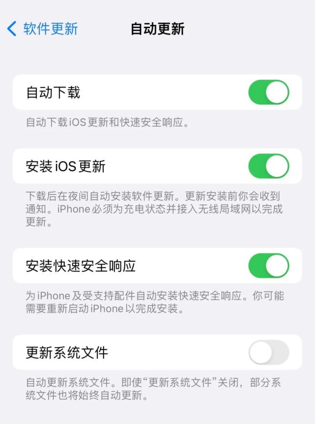 渝水苹果手机维修分享苹果快速安全响应更新有必要安装吗 
